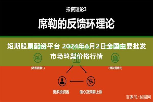 短期股票配资平台 2024年6月2日全国主要批发市场鸭梨价格行情