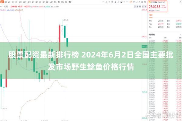 股票配资最新排行榜 2024年6月2日全国主要批发市场野生鲶鱼价格行情