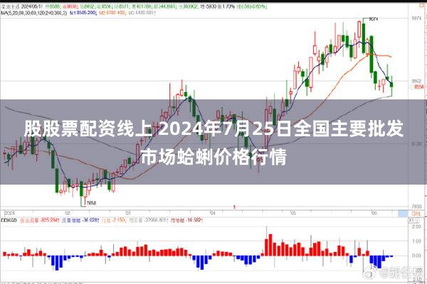 股股票配资线上 2024年7月25日全国主要批发市场蛤蜊价格行情