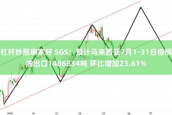 杠杆炒股哪家好 SGS：预计马来西亚7月1-31日棕榈油出口1486834吨 环比增加23.61%