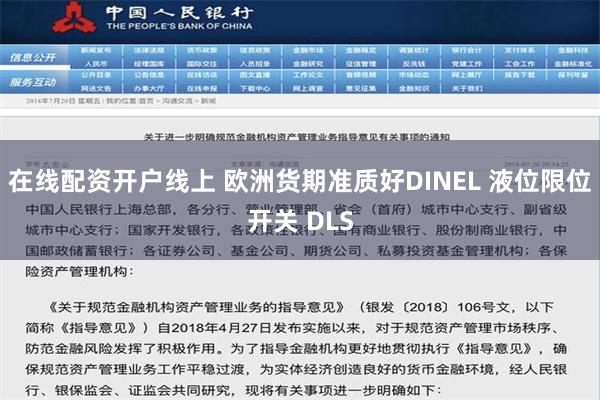 在线配资开户线上 欧洲货期准质好DINEL 液位限位开关 DLS