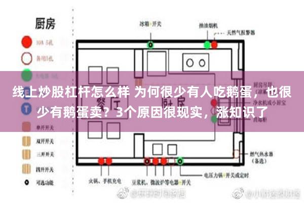 线上炒股杠杆怎么样 为何很少有人吃鹅蛋，也很少有鹅蛋卖？3个原因很现实，涨知识了