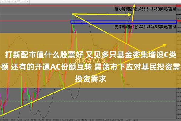 打新配市值什么股票好 又见多只基金密集增设C类份额 还有的开通AC份额互转 震荡市下应对基民投资需求