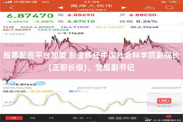 股票配资平台加盟 彭金辉任中国社会科学院副院长(正部长级)、党组副书记