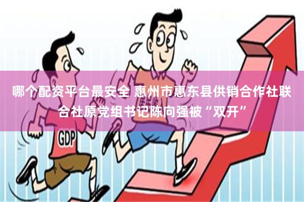 哪个配资平台最安全 惠州市惠东县供销合作社联合社原党组书记陈向强被“双开”