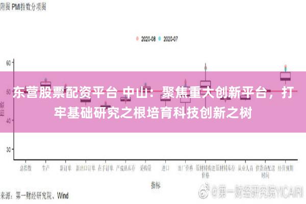 东营股票配资平台 中山：聚焦重大创新平台，打牢基础研究之根培育科技创新之树