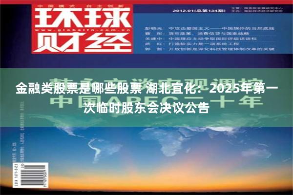 金融类股票是哪些股票 湖北宜化：2025年第一次临时股东会决议公告