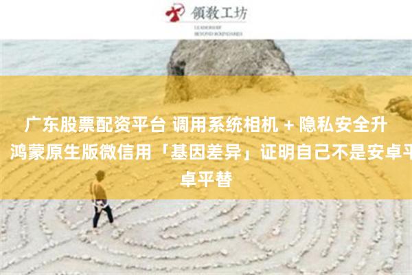 广东股票配资平台 调用系统相机 + 隐私安全升级，鸿蒙原生版微信用「基因差异」证明自己不是安卓平替