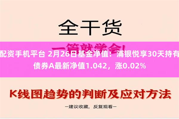 配资手机平台 2月26日基金净值：浦银悦享30天持有债券A最新净值1.042，涨0.02%